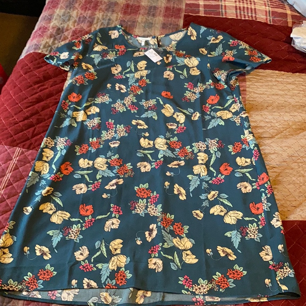 NWT Maurices floral dress- xl